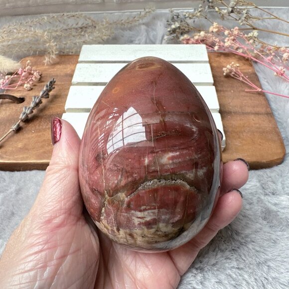 Gorgeous Large Petrified Wood Egg - Picture 2 of 9